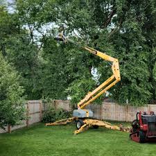 How Our Tree Care Process Works  in  Midland City, AL